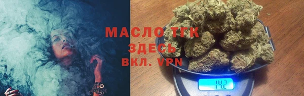 гидра Богородск