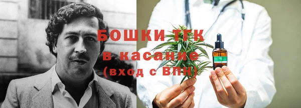 гидра Богородск