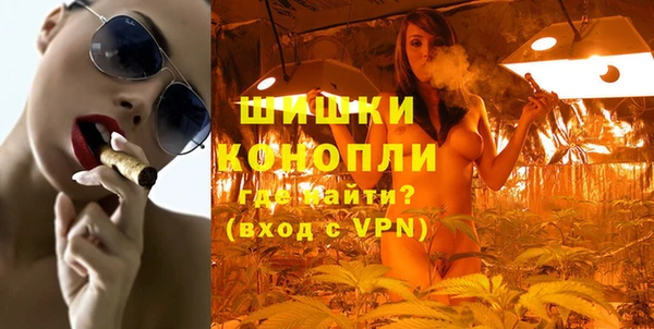 гидра Богородск