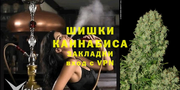 мдпв Богданович